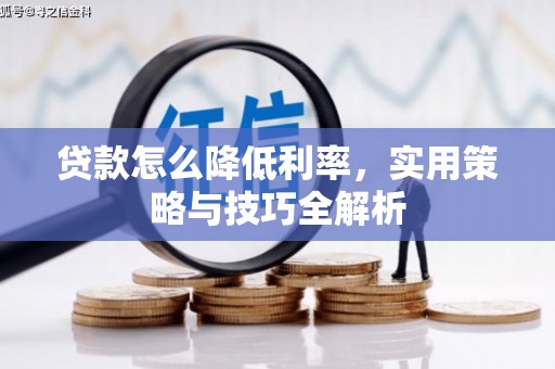 疏勒贷款怎么降低利率，实用策略与技巧全解析