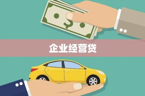 普湾新区企业经营贷