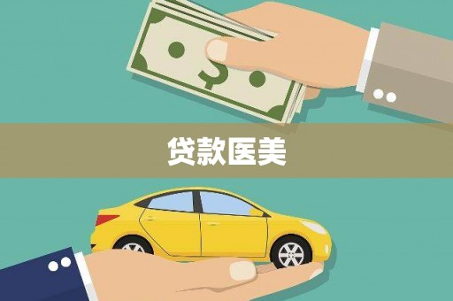 洛宁贷款医美