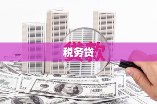 阳原税务贷