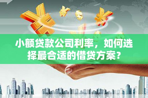 宏伟小额贷款公司利率，如何选择最合适的借贷方案？