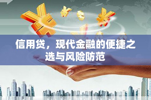 信阳信用贷，现代金融的便捷之选与风险防范