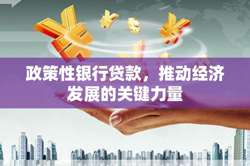 电白政策性银行贷款，推动经济发展的关键力量