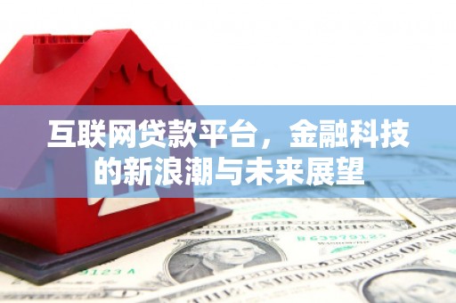 拉萨互联网贷款平台，金融科技的新浪潮与未来展望