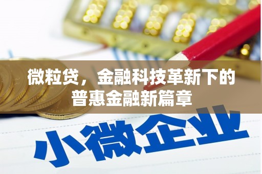 燕巢微粒贷，金融科技革新下的普惠金融新篇章