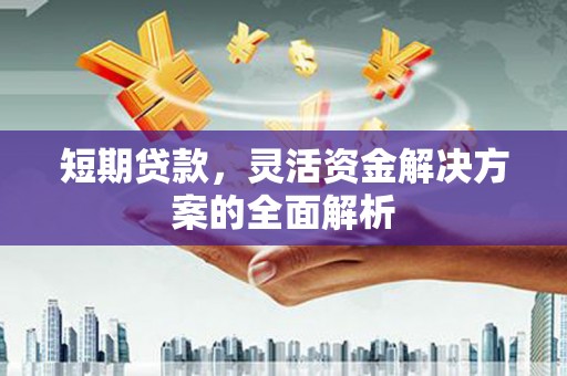 坦洲短期贷款，灵活资金解决方案的全面解析