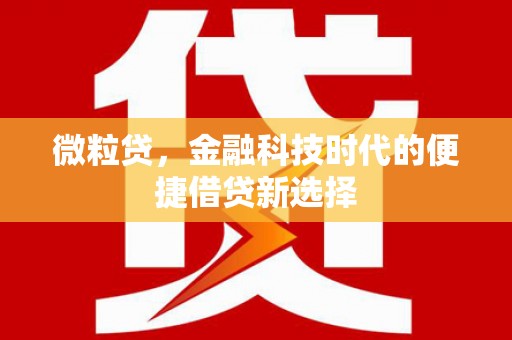 定州微粒贷，金融科技时代的便捷借贷新选择