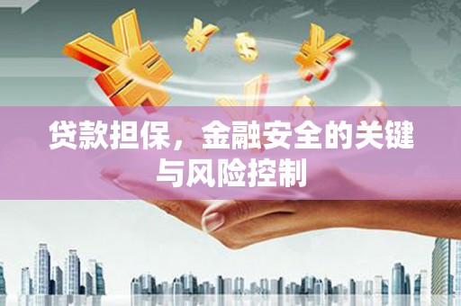友谊贷款担保，金融安全的关键与风险控制