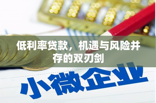 沈北新区低利率贷款，机遇与风险并存的双刃剑