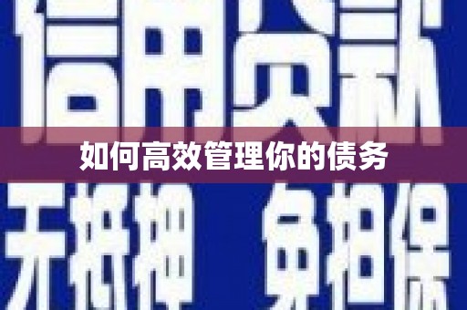 岳麓如何高效管理你的债务