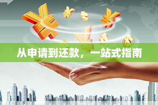 温泉从申请到还款，一站式指南