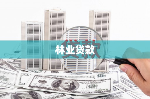 朔城林业贷款