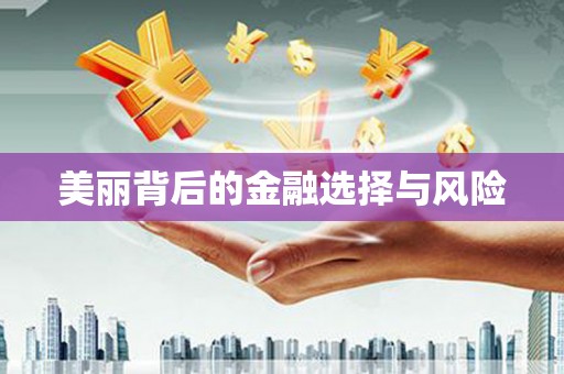 文圣美丽背后的金融选择与风险