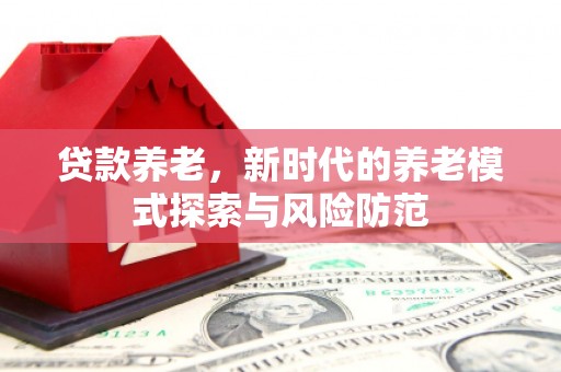北屯贷款养老，新时代的养老模式探索与风险防范