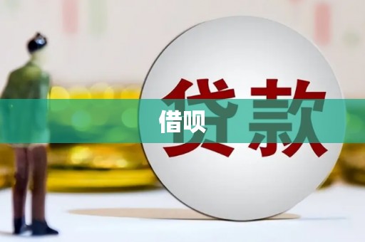 萨迦借呗